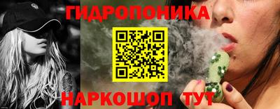 гашик Будённовск