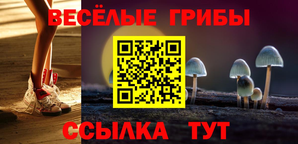 Галлюциногенные грибы GOLDEN TEACHER  Вход с VPN  Тара 